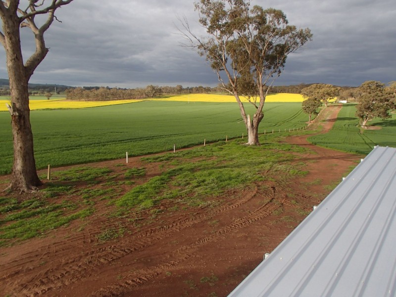 275 Midland Deviation, Cosgrove South VIC 3631