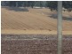 275 Midland Deviation, Cosgrove South VIC 3631
