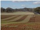 275 Midland Deviation, Cosgrove South VIC 3631
