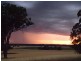 275 Midland Deviation, Cosgrove South VIC 3631