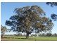 275 Midland Deviation, Cosgrove South VIC 3631