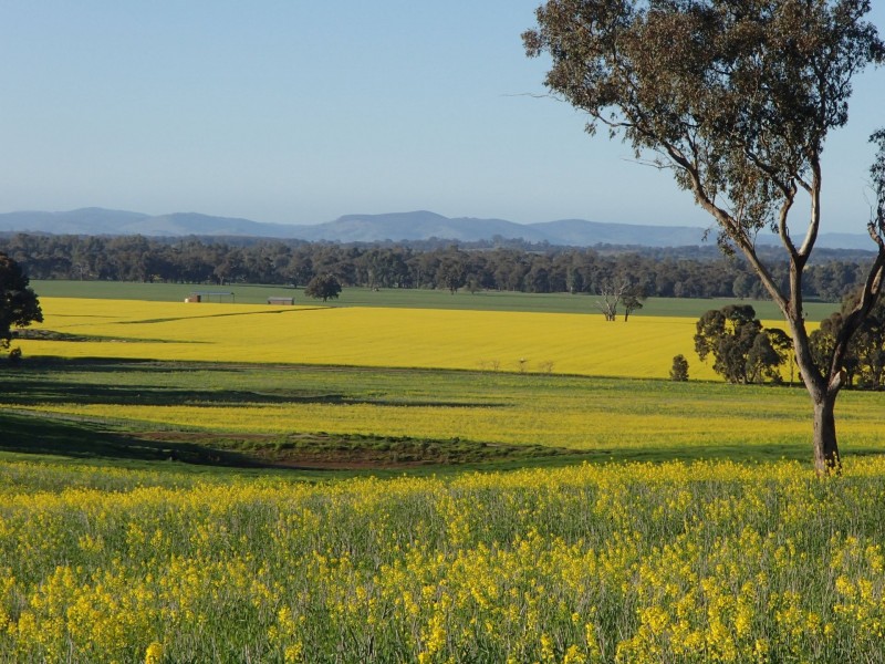 275 Midland Deviation, Cosgrove South VIC 3631