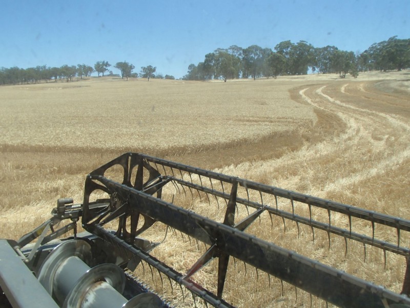 275 Midland Deviation, Cosgrove South VIC 3631