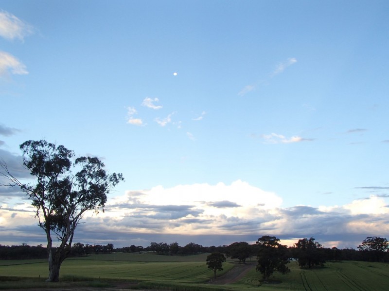 275 Midland Deviation, Cosgrove South VIC 3631