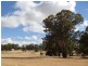 275 Midland Deviation, Cosgrove South VIC 3631