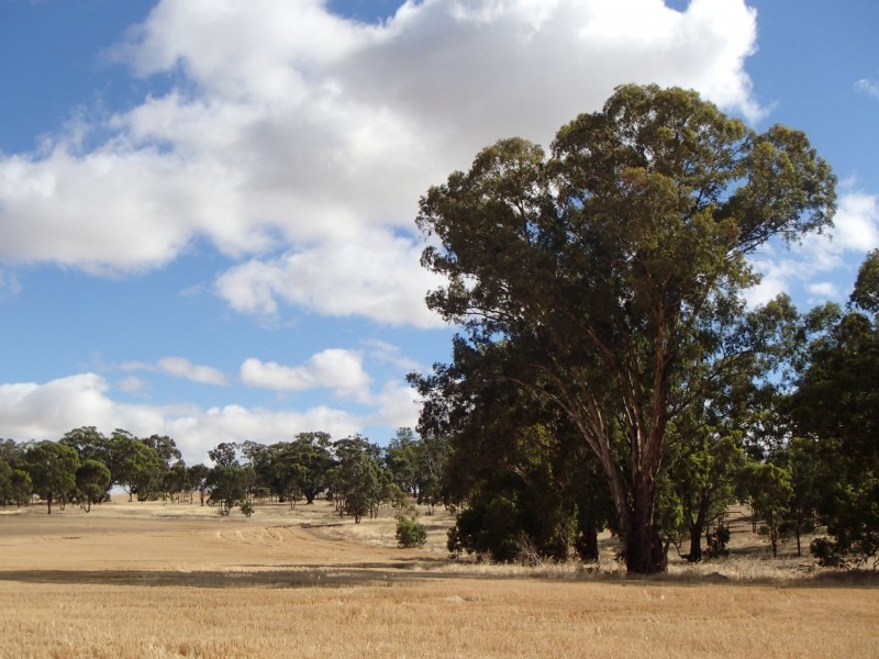 275 Midland Deviation, Cosgrove South VIC 3631