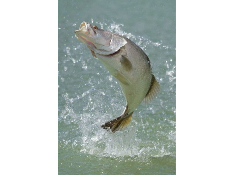 87 Worthington Rd, Turkey Beach QLD 4678