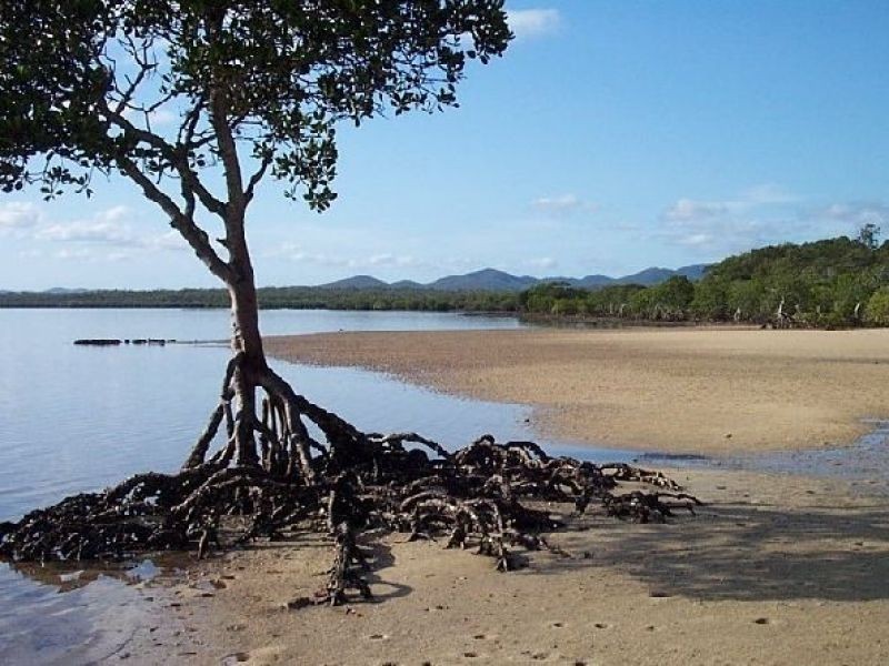 87 Worthington Rd, Turkey Beach QLD 4678