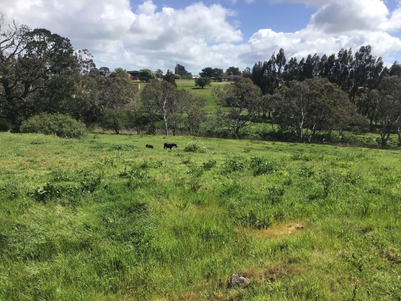 11B Anderson street, Skipton VIC 3361