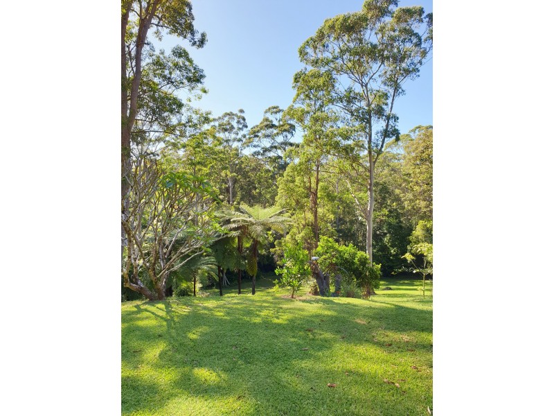 88 Forest Drive, Repton NSW 2454
