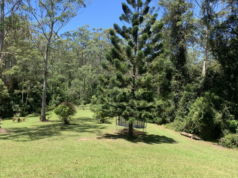 88 Forest Drive, Repton NSW 2454