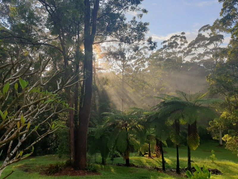 88 Forest Drive, Repton NSW 2454