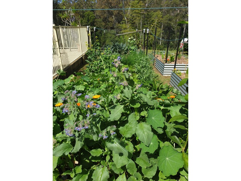 88 Forest Drive, Repton NSW 2454