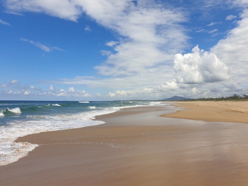 88 Forest Drive, Repton NSW 2454