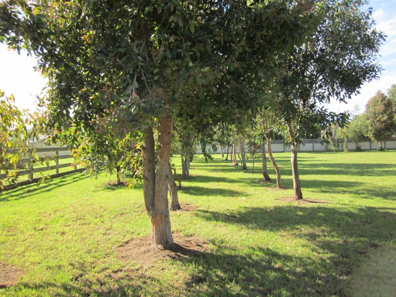 32 Obriens Lane, Koroit VIC 3282