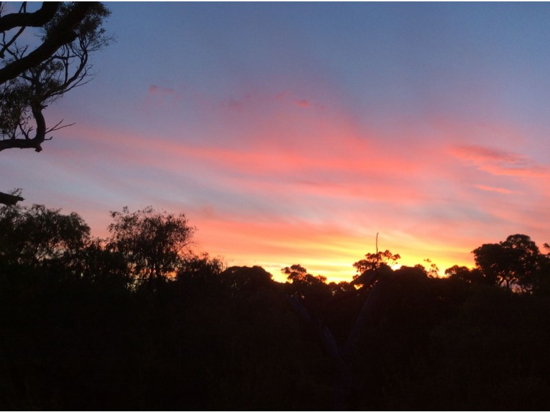 Lot Lot 4, Gate 1, 107 Lake Preston Road, Myalup WA 6220