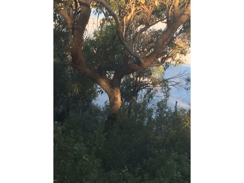 Lot Lot 4, Gate 1, 107 Lake Preston Road, Myalup WA 6220