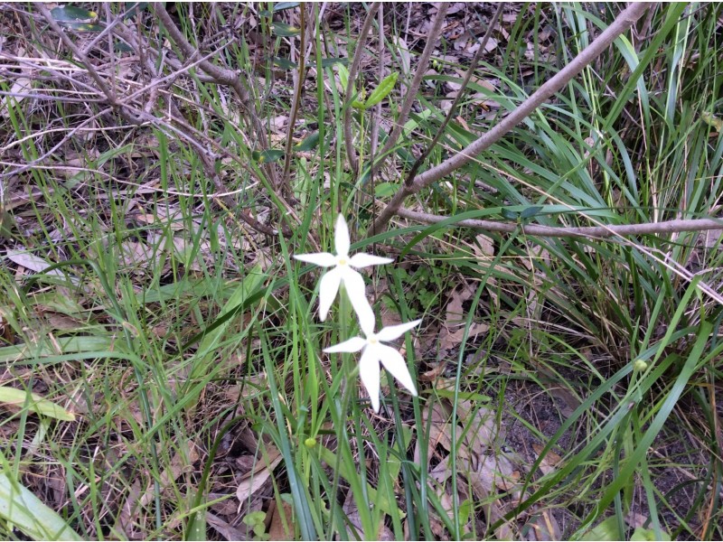 Lot Lot 4, Gate 1, 107 Lake Preston Road, Myalup WA 6220