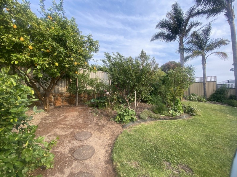 16 Boronia Avenue, Collingwood Heights WA 6330