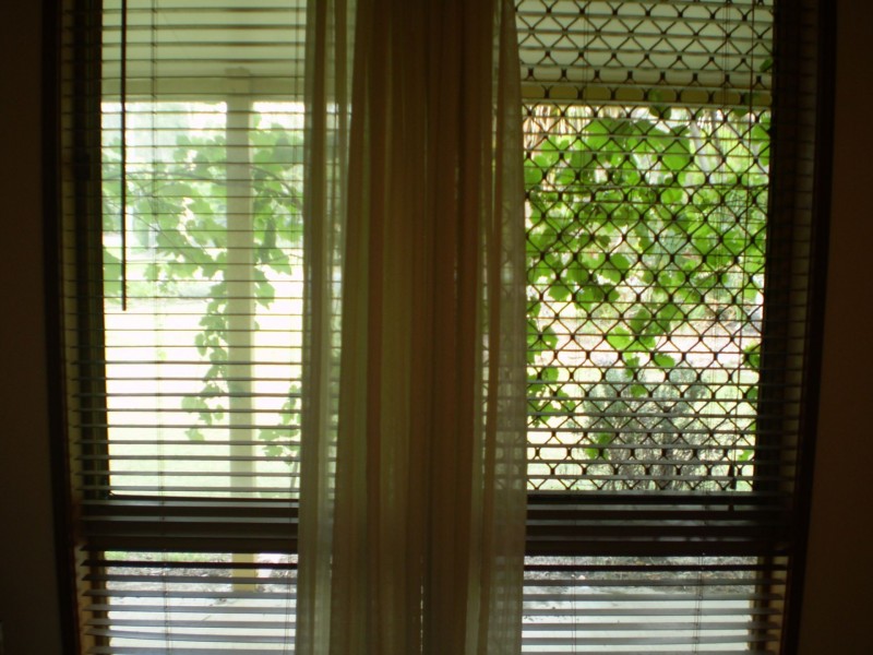 62 vaughan drive, Ormeau QLD 4208