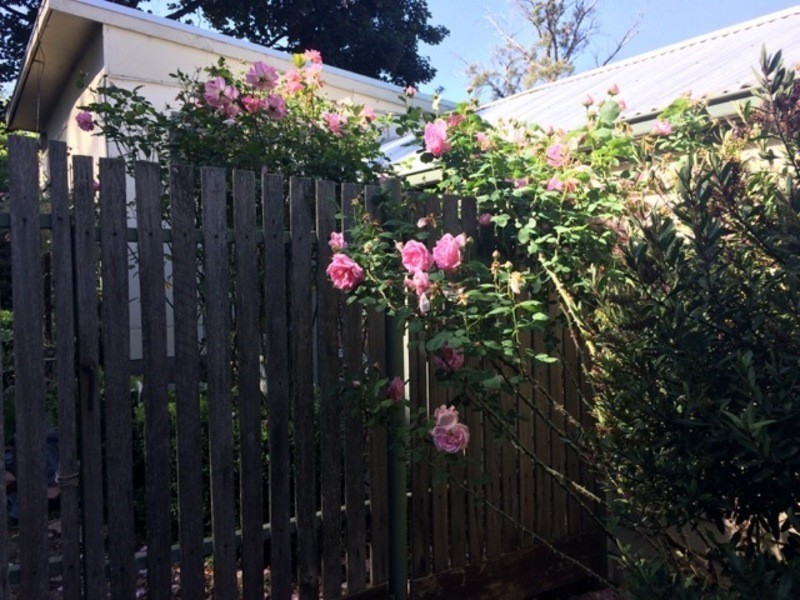 24 Best Street, Belgrave VIC 3160