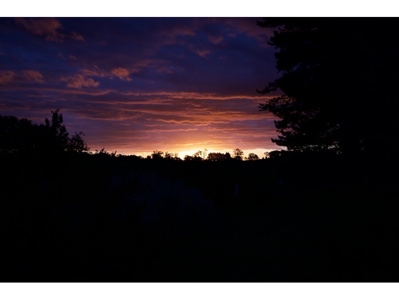 37 Bakers Road, Spring Terrace NSW 2798