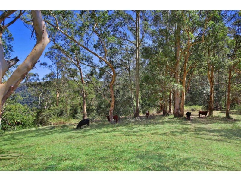 353 Western Avenue, Montville QLD 4560