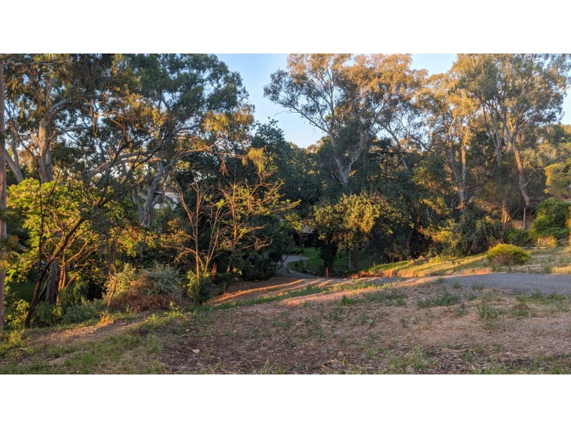 27 Frank Street, Vista SA 5091