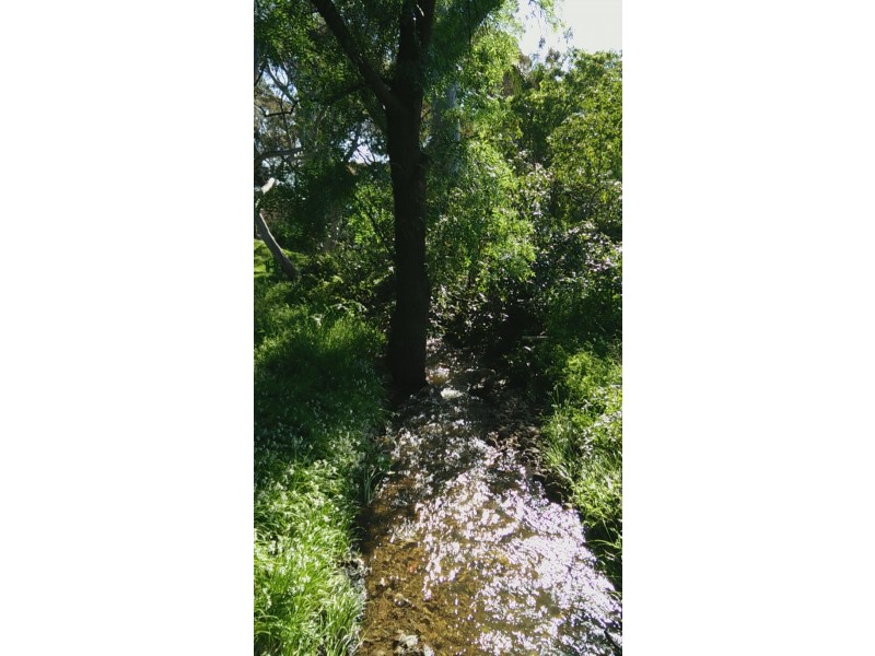 27 Frank Street, Vista SA 5091