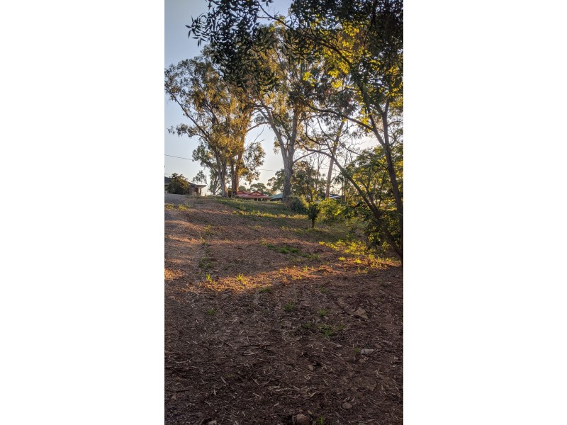 27 Frank Street, Vista SA 5091