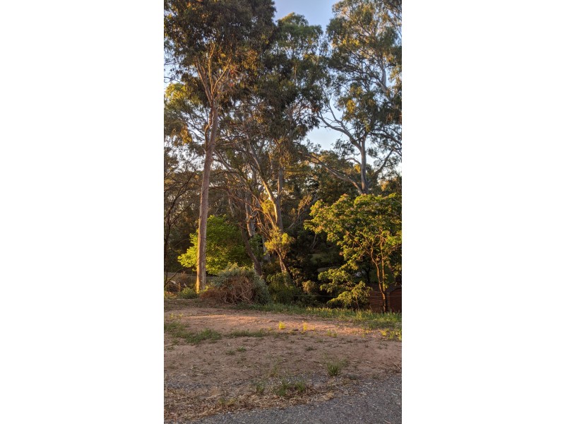 27 Frank Street, Vista SA 5091