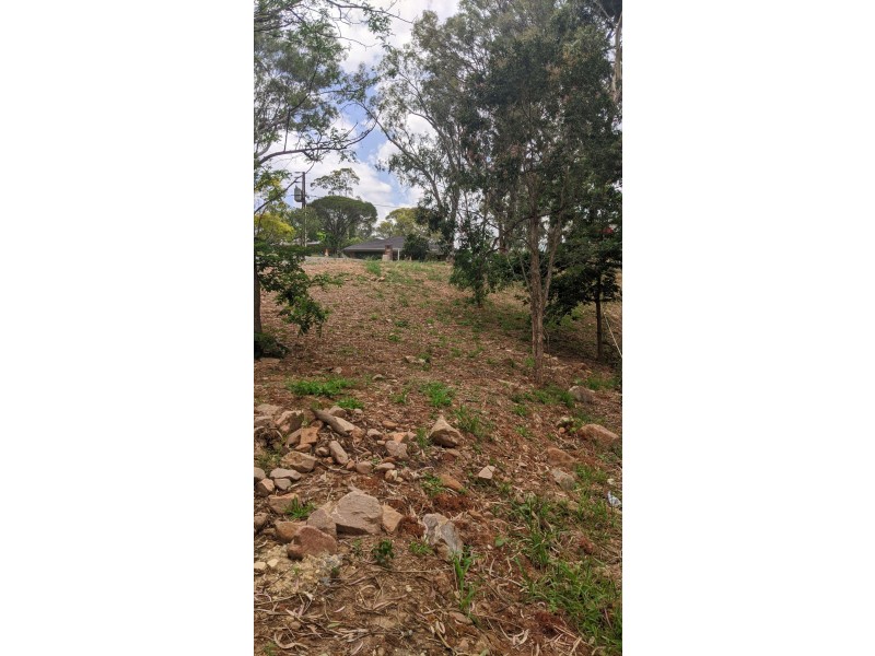 27 Frank Street, Vista SA 5091