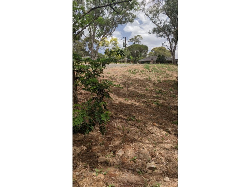 27 Frank Street, Vista SA 5091