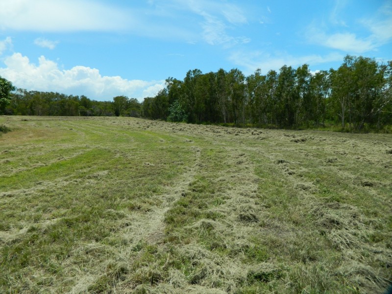 Bucasia QLD 4750