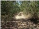 Bucasia QLD 4750