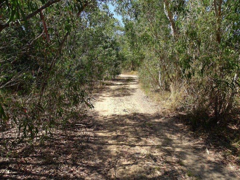 Bucasia QLD 4750