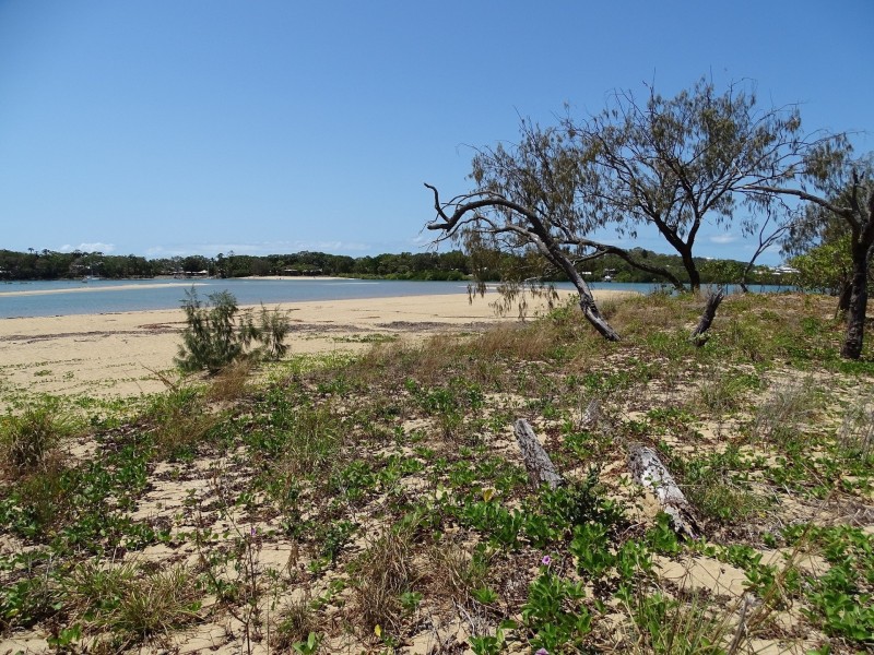 Bucasia QLD 4750