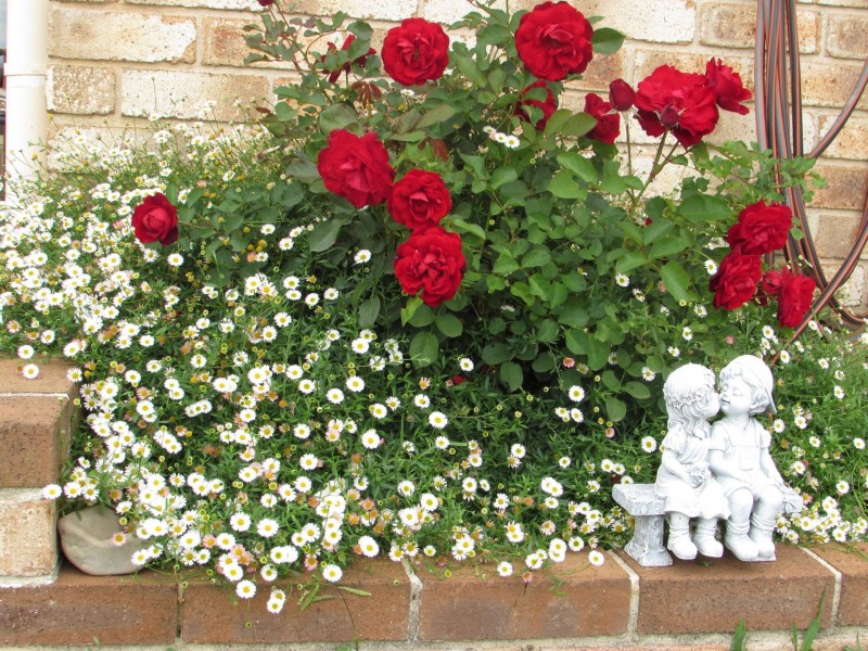 Scribblegum Quarry Road, Bundanoon NSW 2578