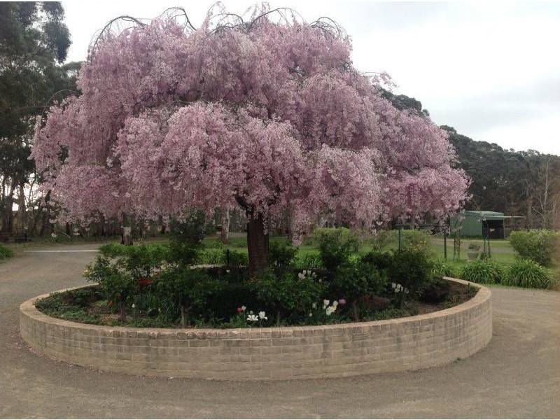 Scribblegum Quarry Road, Bundanoon NSW 2578