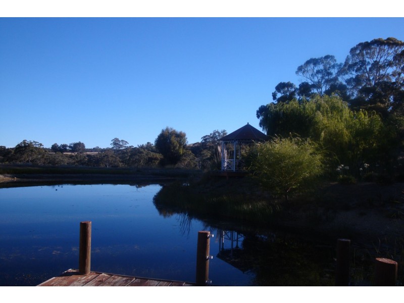 239 Hepburn Newstead Road, Elevated Plains VIC 3461