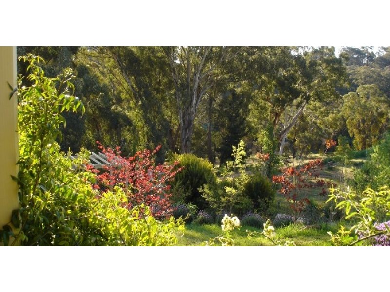 239 Hepburn Newstead Road, Elevated Plains VIC 3461