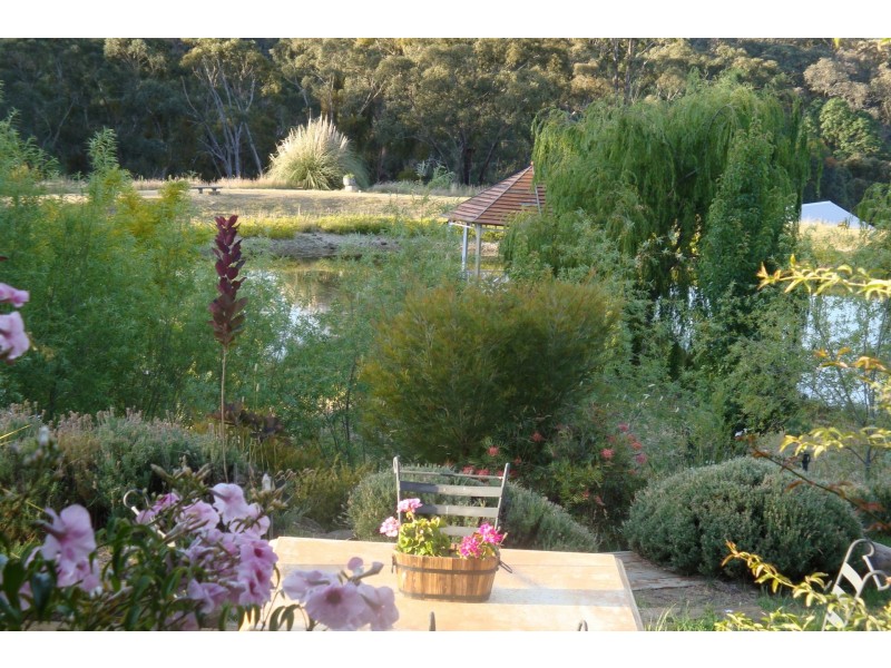 239 Hepburn Newstead Road, Elevated Plains VIC 3461