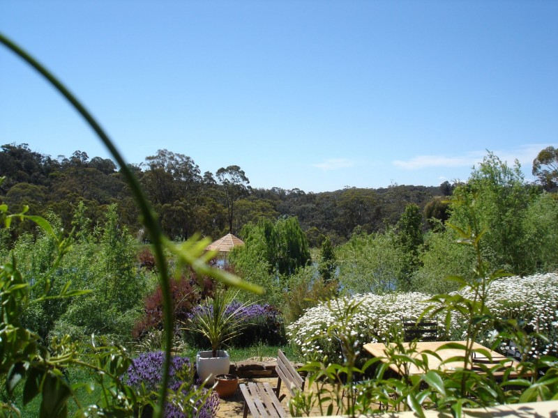 239 Hepburn Newstead Road, Elevated Plains VIC 3461