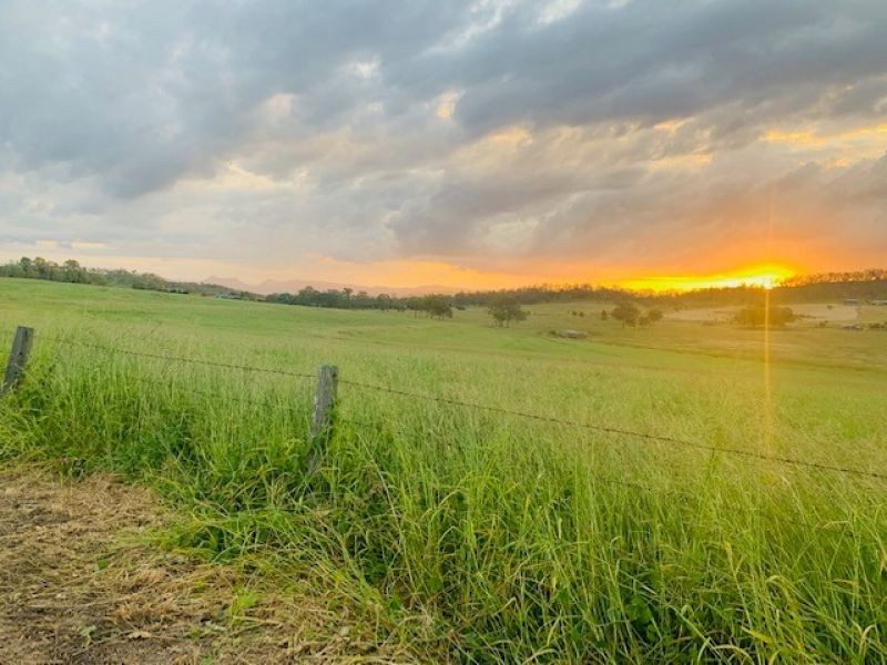 627 Munbilla Road, Munbilla QLD 4309