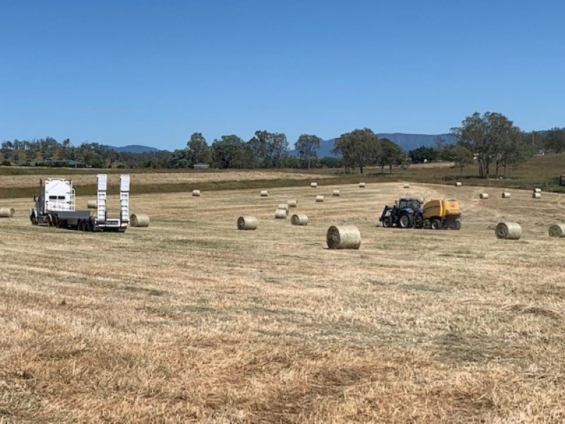 627 Munbilla Road, Munbilla QLD 4309