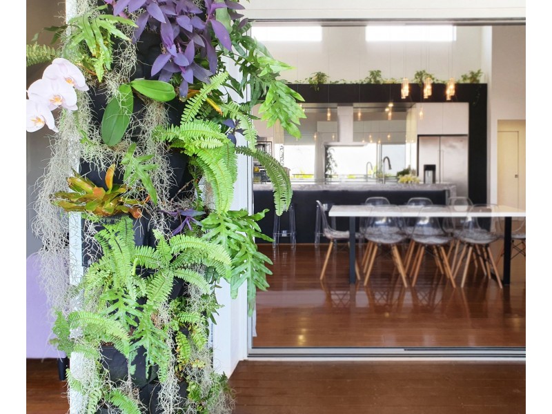 13 Holbourne Street, Bushland Beach QLD 4818