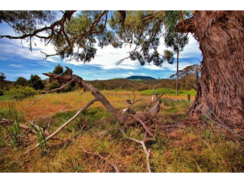 239 Hepburn-Newstead Road, Shepherds Flat VIC 3461