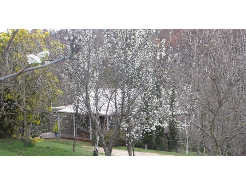 239 Hepburn-Newstead Road, Shepherds Flat VIC 3461