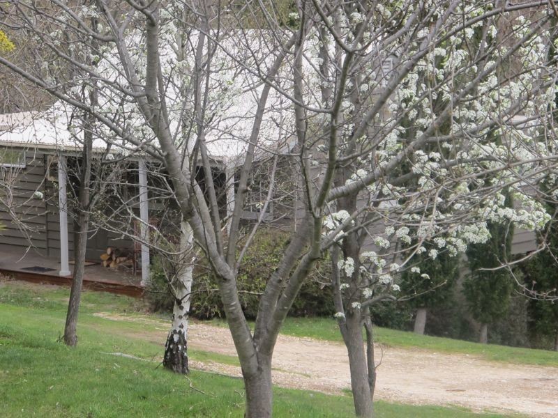 239 Hepburn-Newstead Road, Shepherds Flat VIC 3461