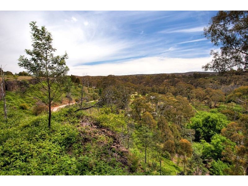 239 Hepburn-Newstead Road, Shepherds Flat VIC 3461